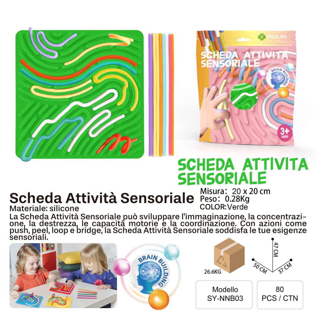SCHEDA ATTIVITA SENSORIALE VERDE 20*20