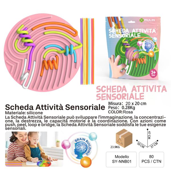 SCHEDA ATTIVITA SENSORIALE ROSA TONDO 20*20