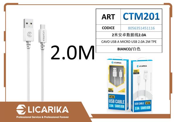 CAVO USB A MICRO USB 2.0A 2M TPE