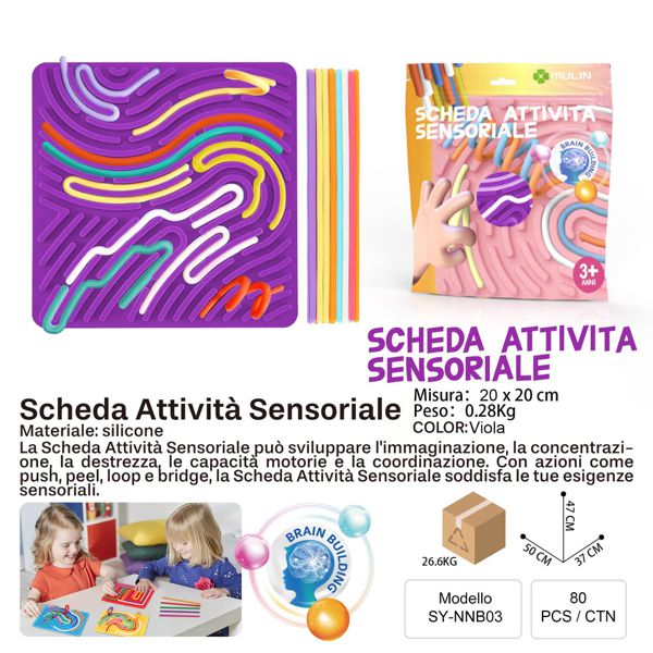 SCHEDA ATTIVITA SENSORIALE VIOLA  20*20CM