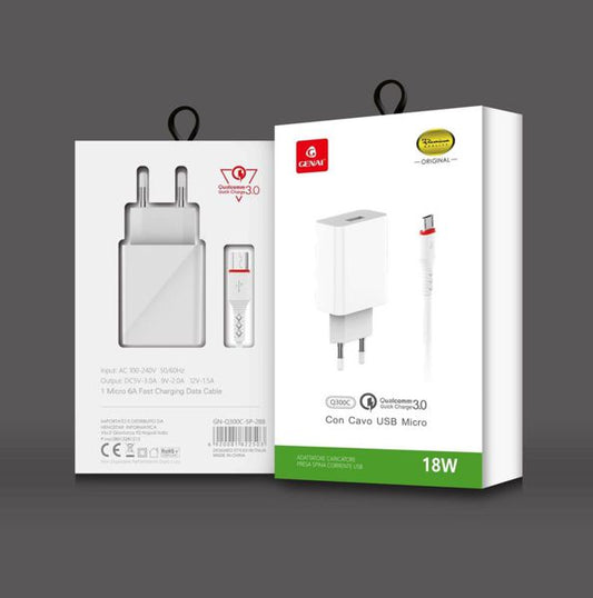 GENAI GN-Q300C-5P 18W MICRO USB KITCARICATORE